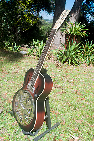 Front view of guitar