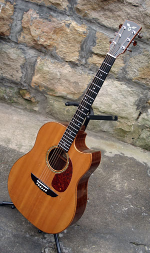 Goodall guitar