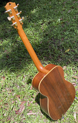 Maton EBG808 back view