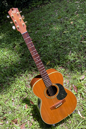 Maton EBG808 front view