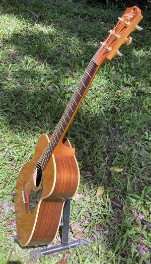 Maton BG808 side view