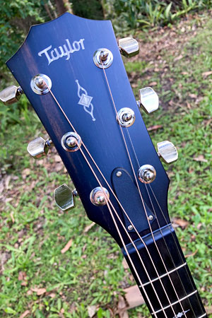 Taylor 324CE headstock