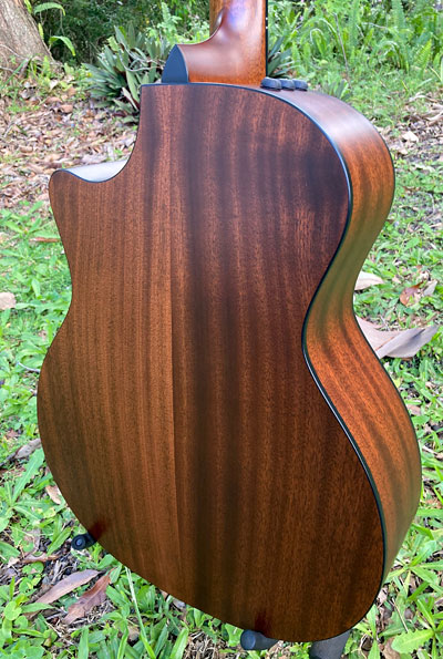 Taylor 314CE Sapele back