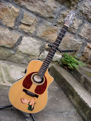 Variax acoustic