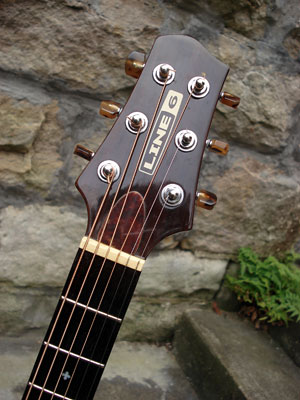 Variax headstock